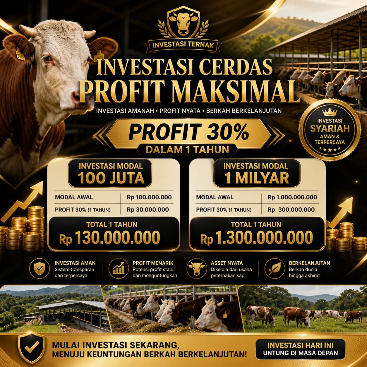 Distribusi Daging Premium